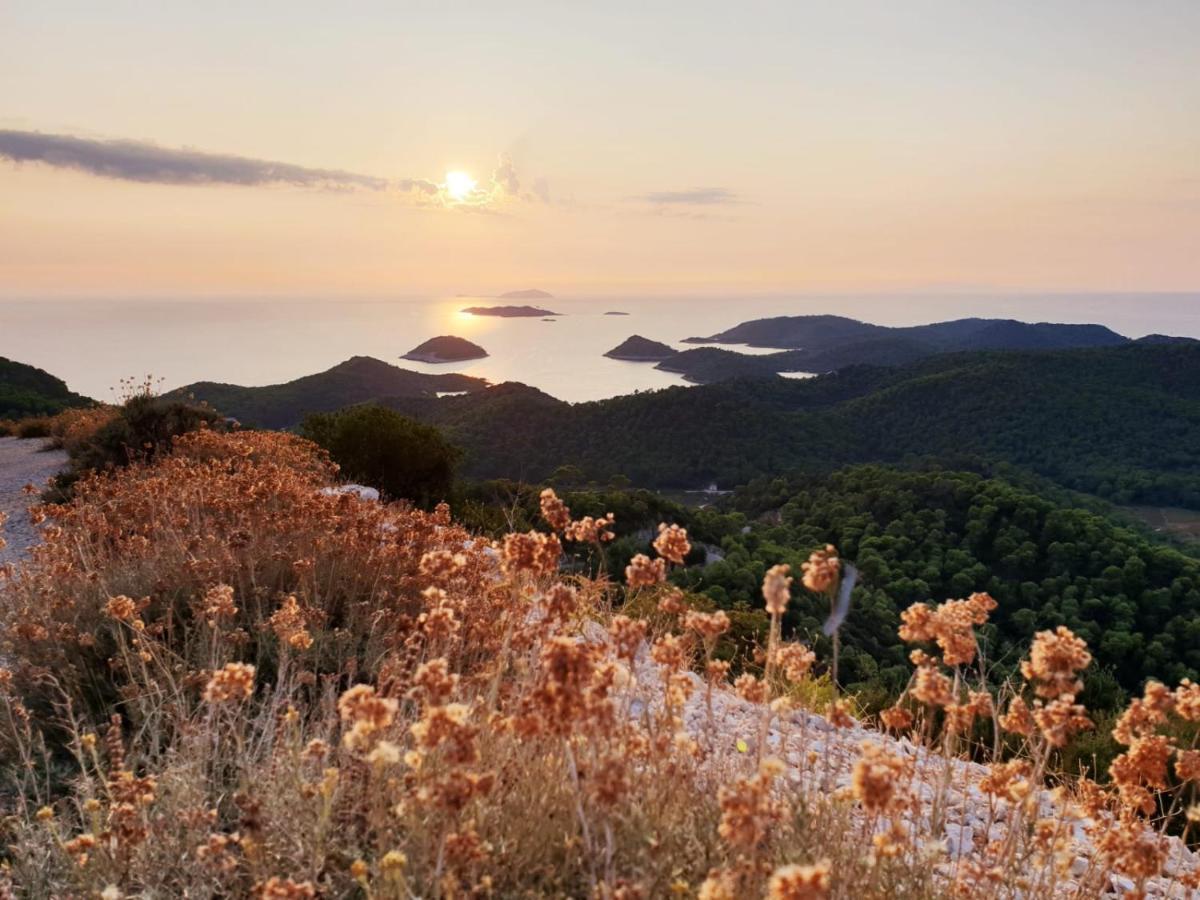 Apartman Portorus Lastovo エクステリア 写真